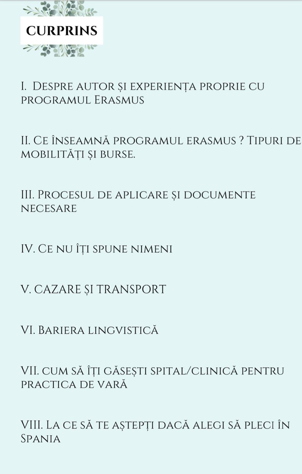 E-BOOK ERASMUS - imagine 3