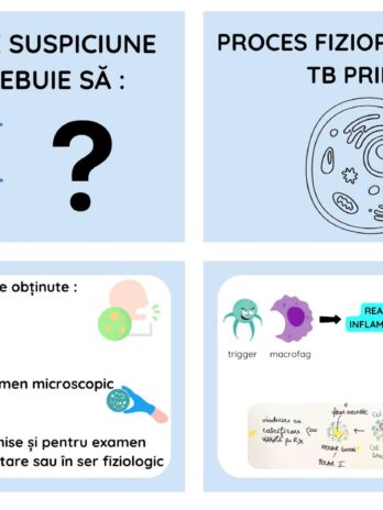 Flashcards Pneumologie