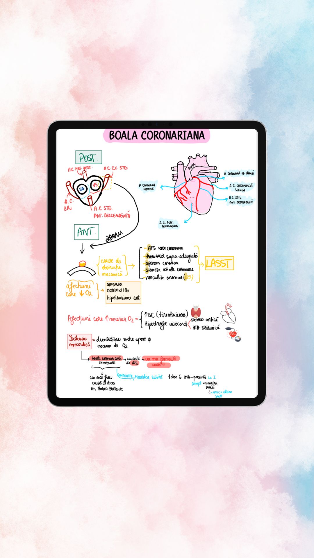 Boala Coronariana ; Angina ; SCA - imagine 3