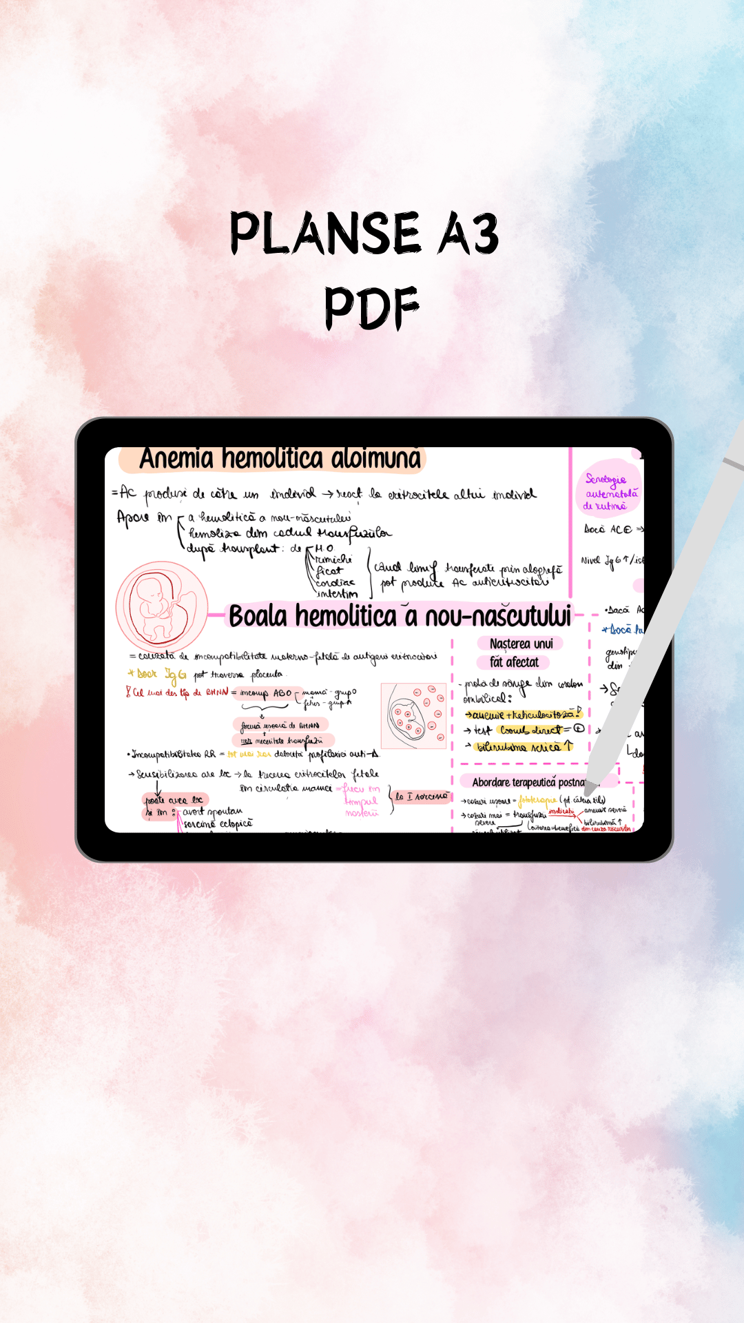 Hematologie - imagine 5